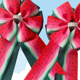 * Show Bows: Watermelon Slice on Green Swiss Dot 🍉 NEW