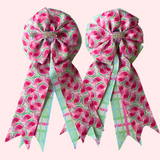 Show Bows: Watermelon Picnic
