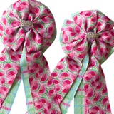 Show Bows: Watermelon Picnic
