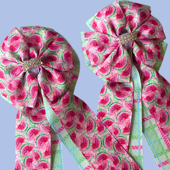 Show Bows: Watermelon Picnic