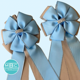 Show Bows: Light Blue on Tan