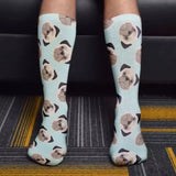 Socks: Pugs Mint