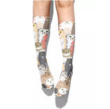 Socks: Cats ~Wildcats