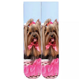 💝 Socks: Dog ~ Yorkies